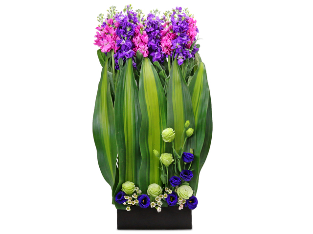 Florist Flower Arrangement - Florist gift arrangement  A14 - L76605208 Photo