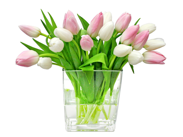 Florist Flower in Vase - Tulip Florist Vase Decor V2 - L3135120 Photo